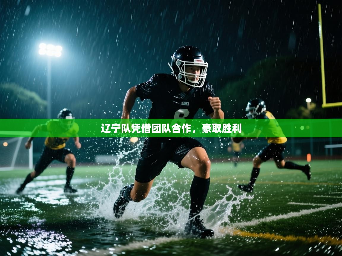 开云体育在线网址-辽宁队凭借团队合作，豪取胜利  第1张