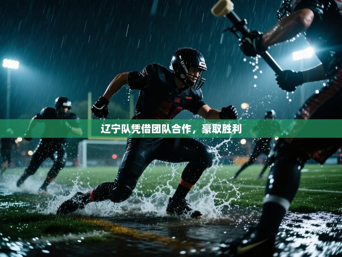 开云体育在线网址-辽宁队凭借团队合作，豪取胜利  第3张